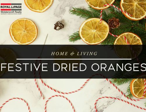 Festive Dried Oranges
