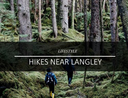 Places to Hike Around Langley