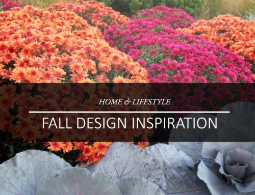 Autumn Design Inspiration