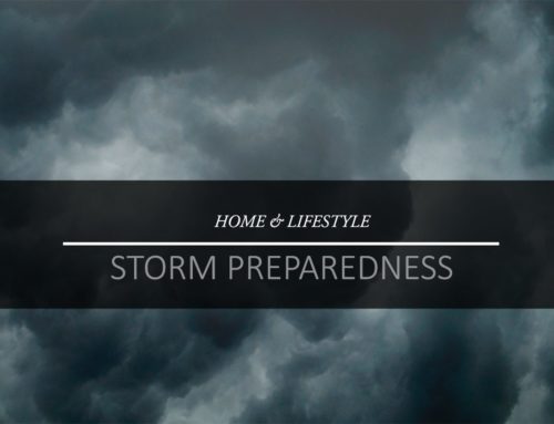 Storm Preparedness